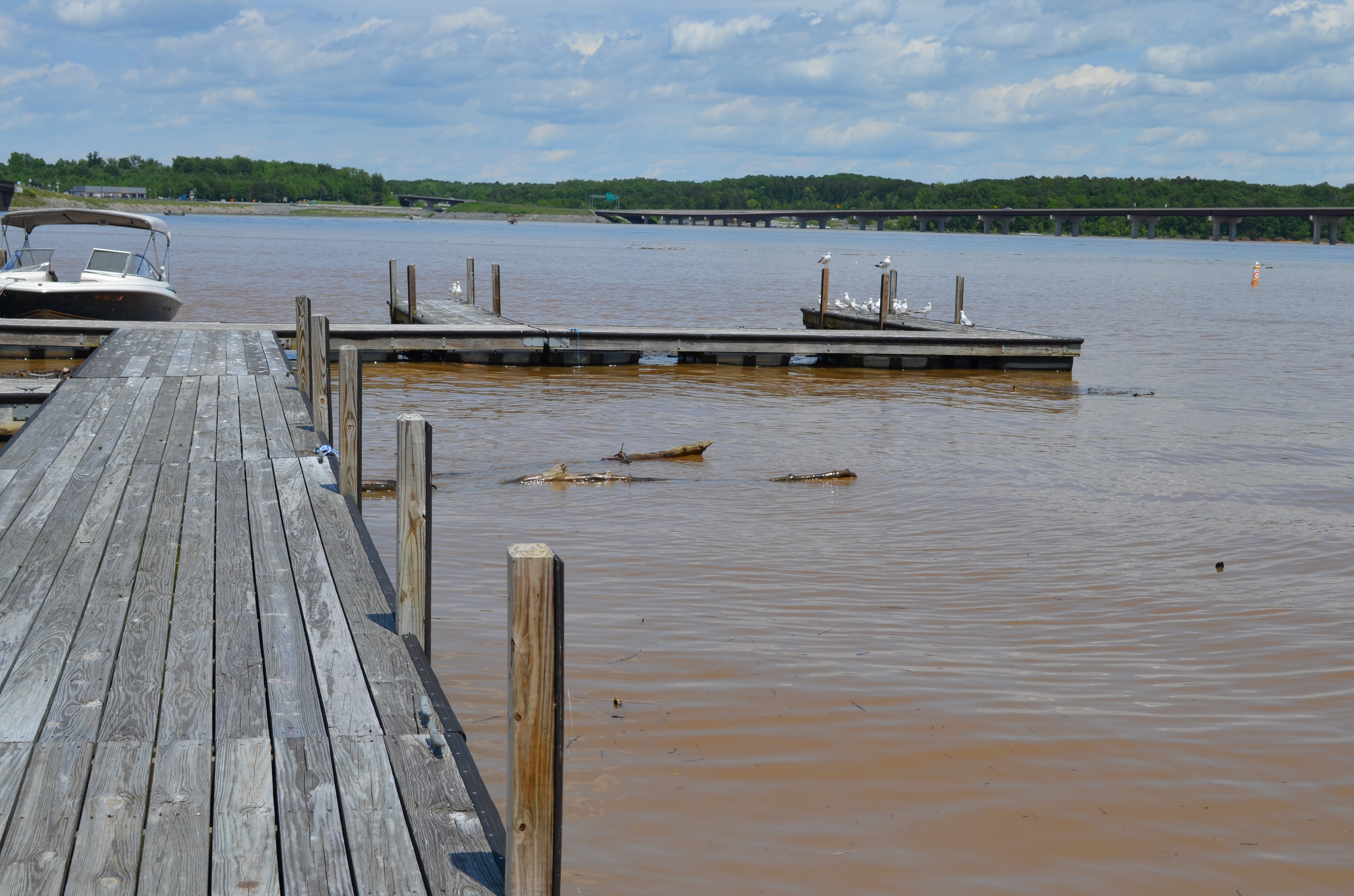 ./2016/09 - Kerr Lake/DSC_0878.JPG